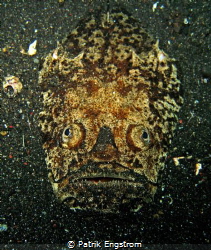 Stargazer that seems to be a prehistoric mask by Patrik Engstrom 